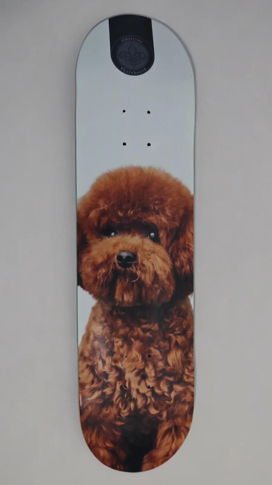 Aldertone Leo skateboard deck.